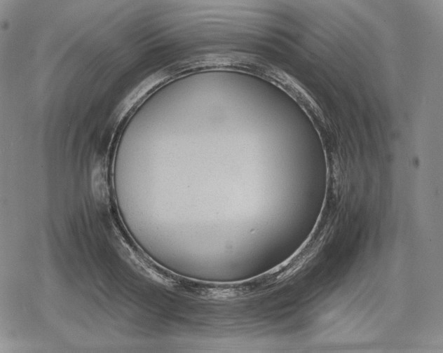 X0000080160794200612221225