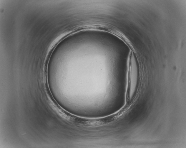 X0000080160795200612221225