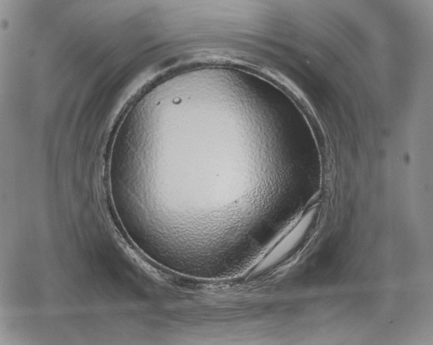 X0000080160799200612221224