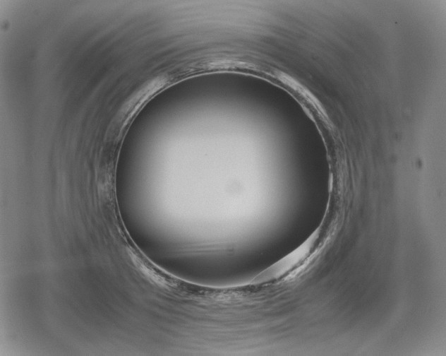 X0000080160801200612221224