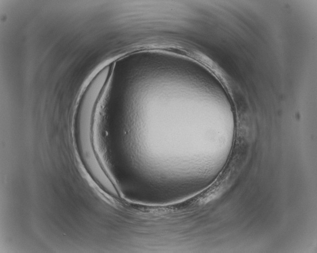 X0000080160803200612221224