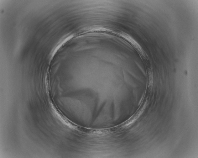 X0000080160806200612221224