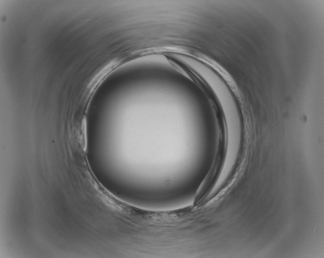 X0000080160809200612221224