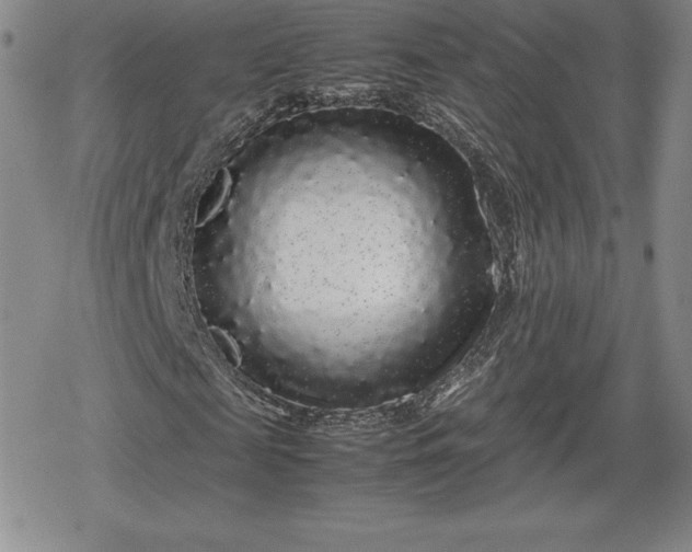 X0000080160817200612221223