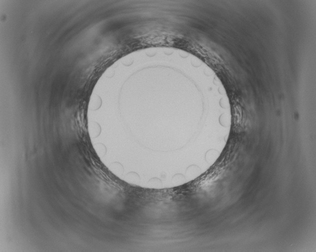 X0000080160820200612221223