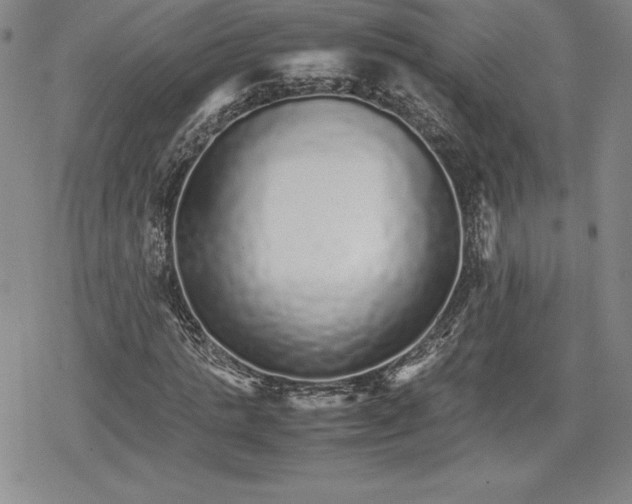 X0000080160821200612221223