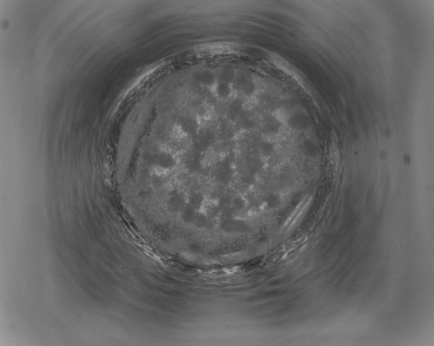 X0000080160823200612221223
