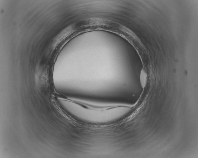 X0000080160826200612221224