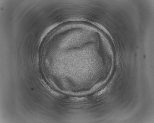 X0000080160831200612221224