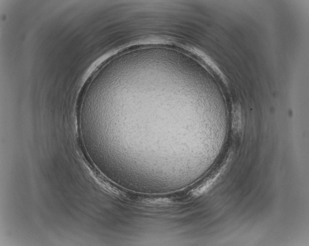 X0000080160837200612221224
