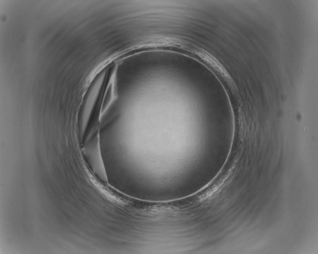 X0000080160842200612221224