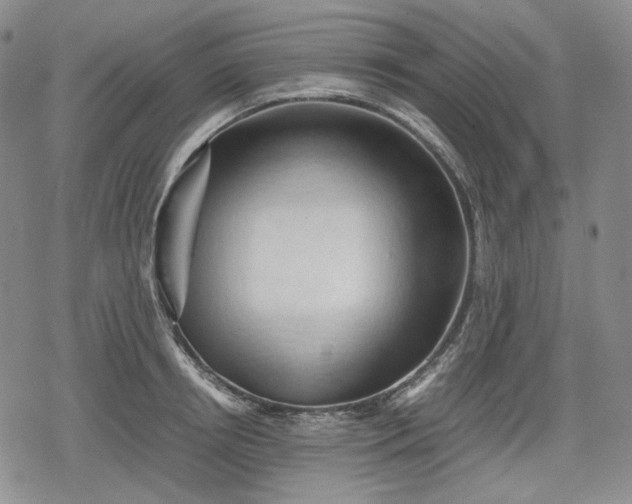 X0000080160850200612221224