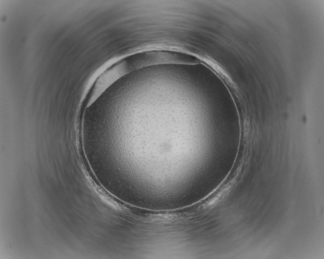 X0000080160854200612221224