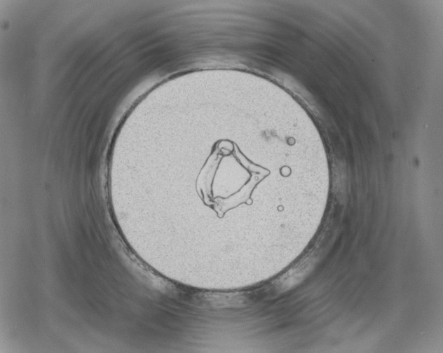 X0000080160856200612221224