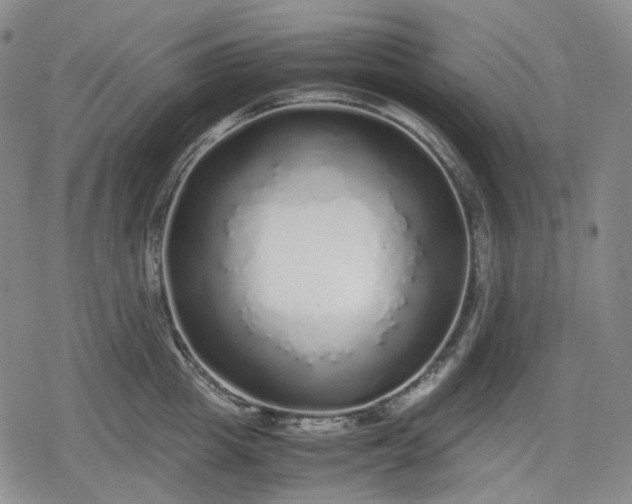X0000080160857200612221224