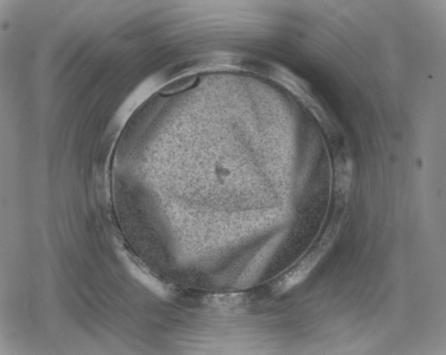 X0000080160858200612221224