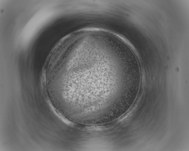 X0000080160862200612221224