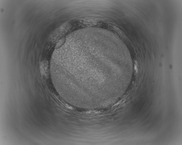 X0000080160867200612221223