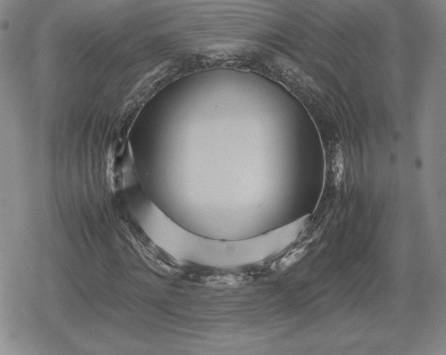 X0000080160868200612221223