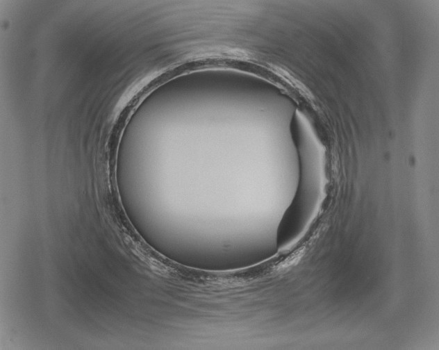 X0000080160877200612221223