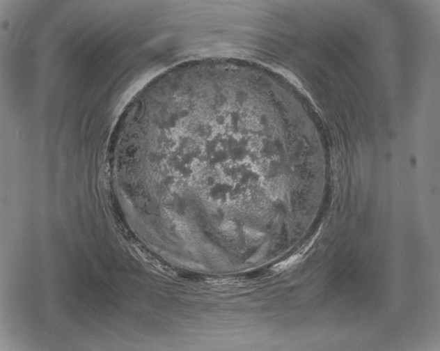 X0000080160879200612221223