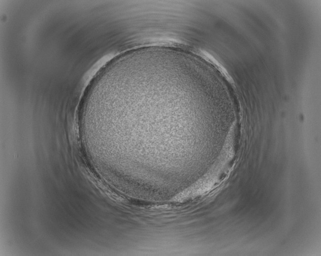 X0000080160883200612221223
