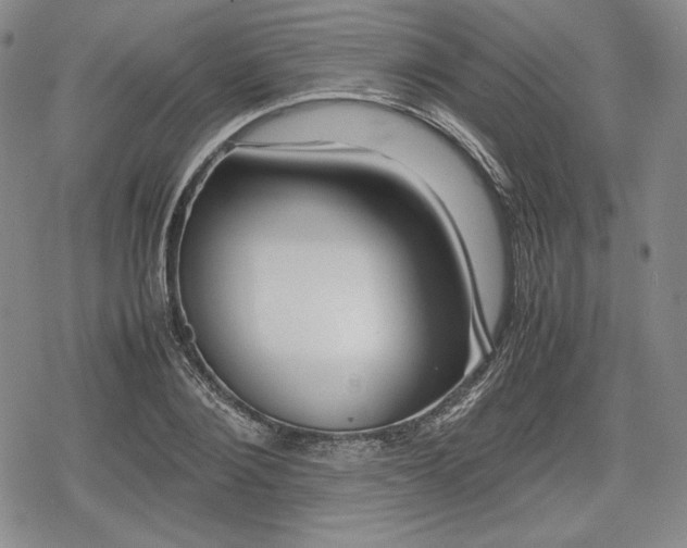 X0000080160884200612221223