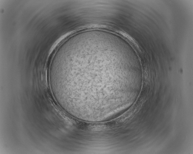 X0000080160886200612221223