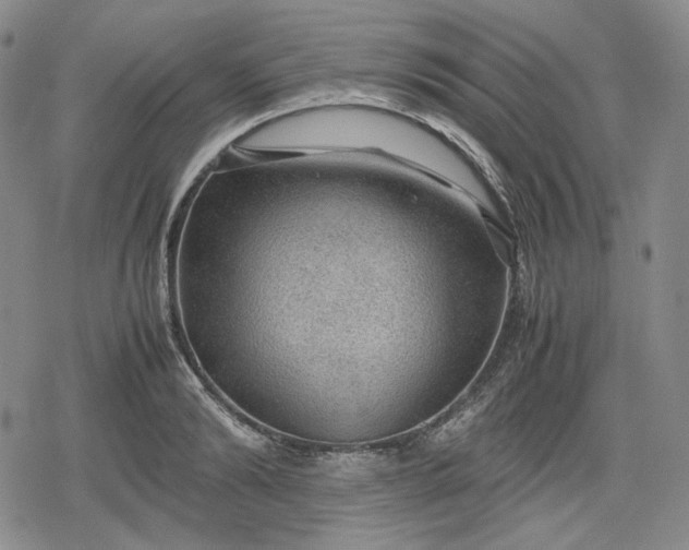 X0000080160894200612221223