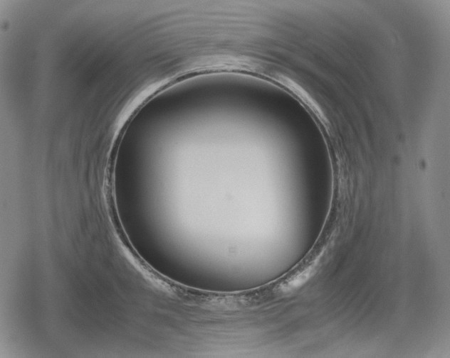 X0000080160901200612221223