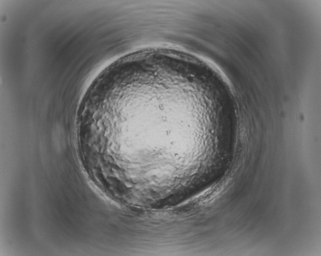 X0000080160903200612221223