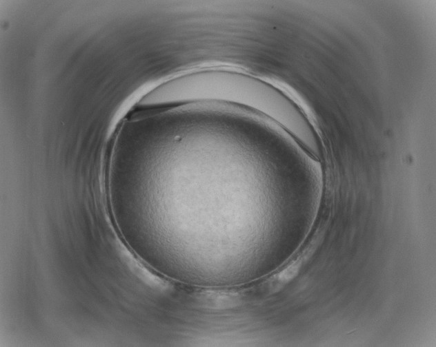 X0000080160910200612221223