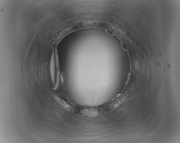 X0000080160914200612221222