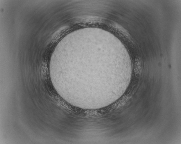 X0000080160918200612221222