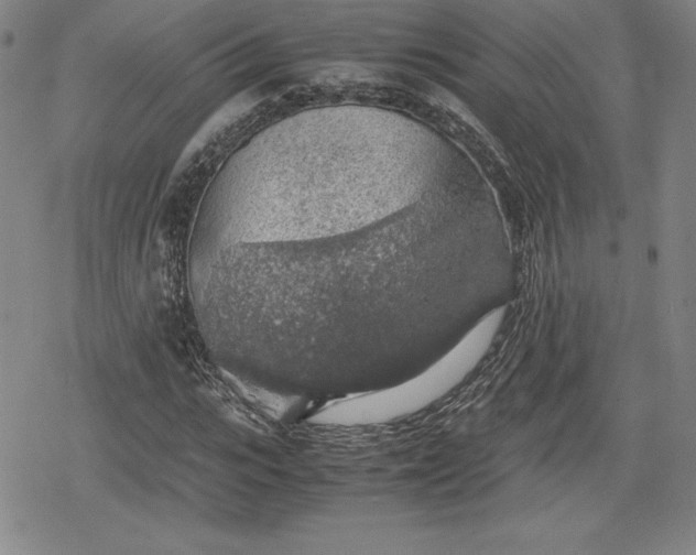 X0000080160919200612221222