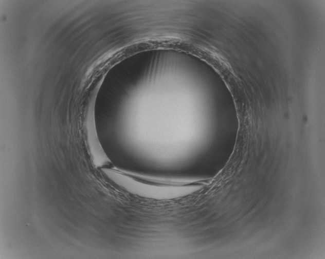 X0000080160920200612221222
