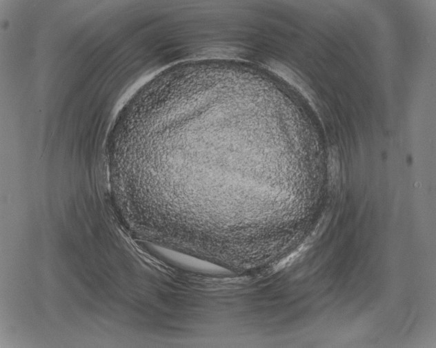 X0000080160925200612221222