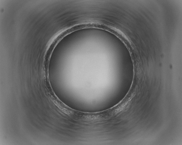 X0000080160927200612221222