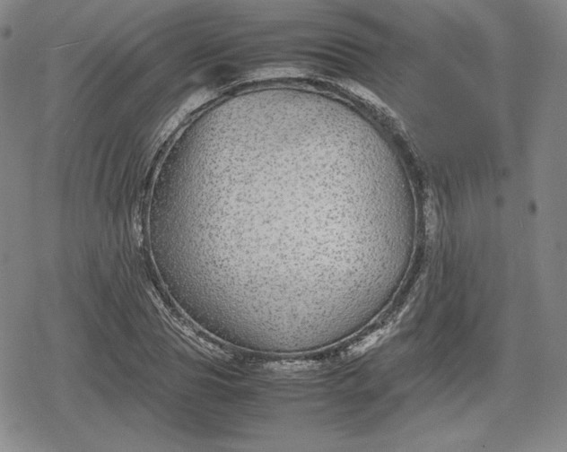 X0000080160929200612221222
