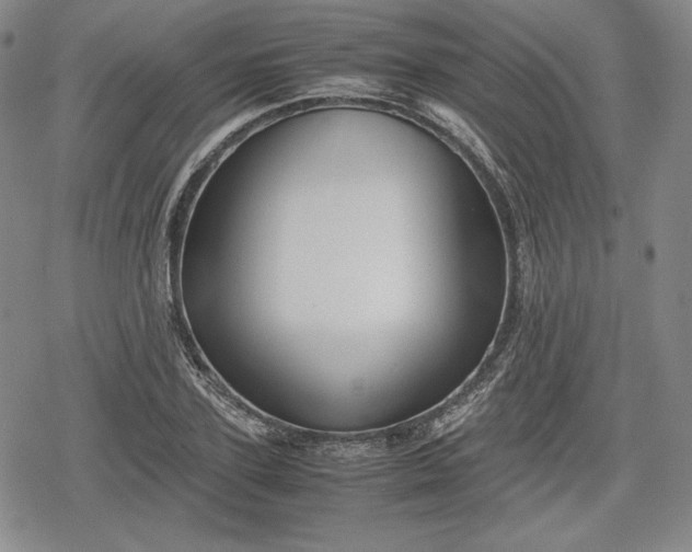 X0000080160931200612221222