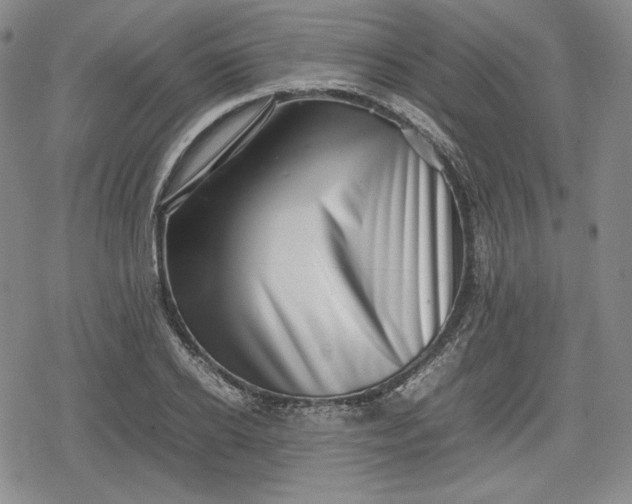 X0000080160934200612221222