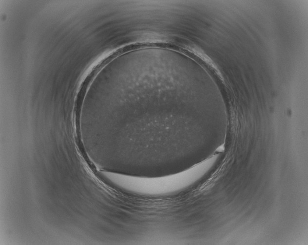X0000080160935200612221222