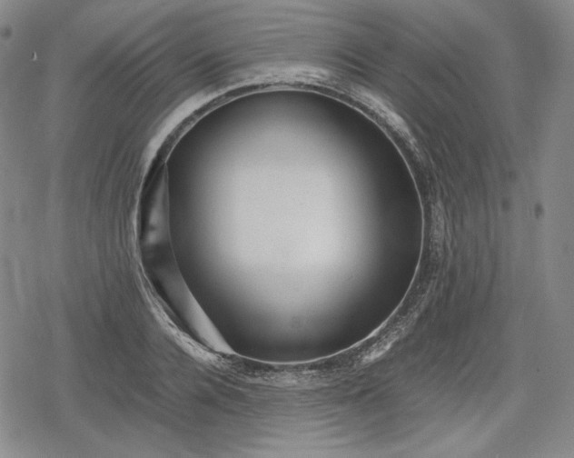 X0000080160936200612221222
