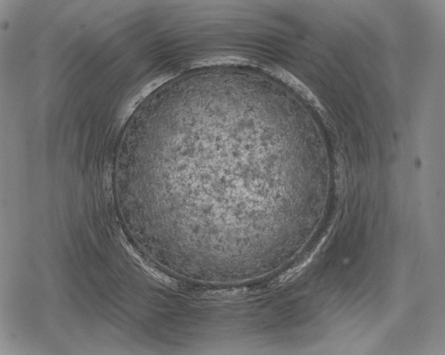 X0000080160937200612221222