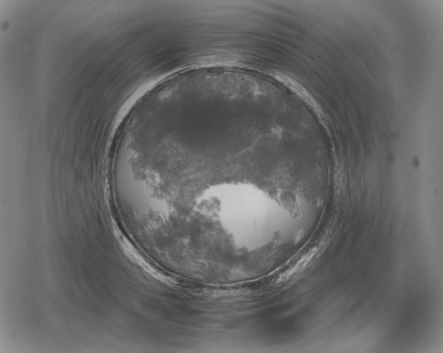 X0000080160941200612221222