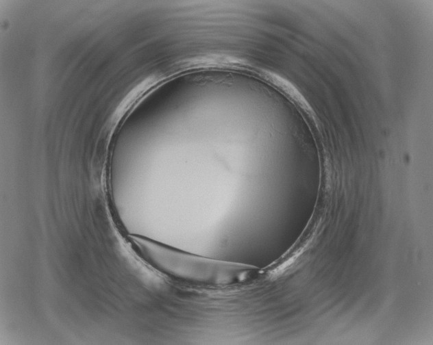 X0000080160946200612221222