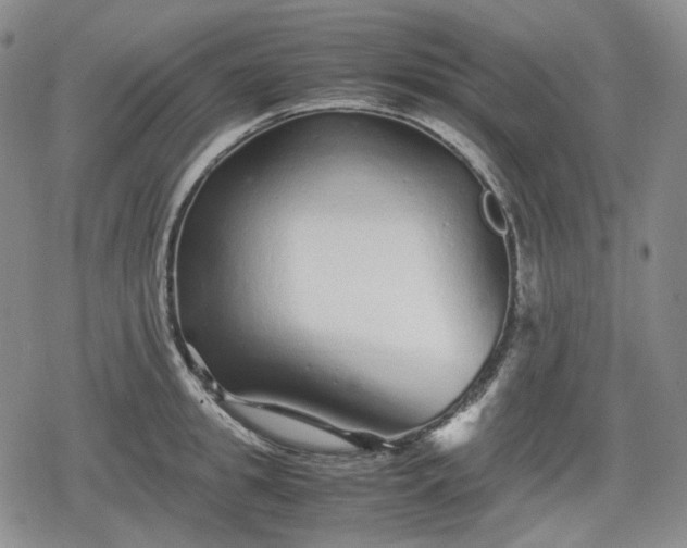 X0000080160949200612221222