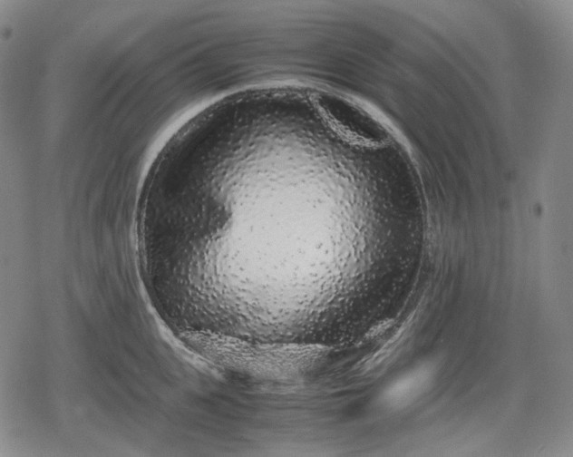 X0000080160951200612221222