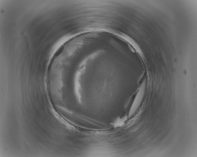 X0000080160958200612221223