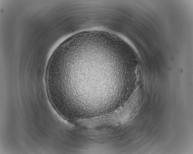 X0000080160959200612221223